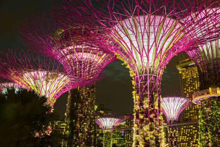 SINGAPORE, SINGAPORE - FEBRUARY 26, 2020: Gardens by the Bay and Marina Bay Sands Hotel illuminated at night in Singaporeのeditorial素材