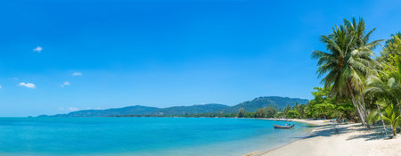 Tropical beach with palm trees on Koh Samui island, Thailand in a summer dayの写真素材