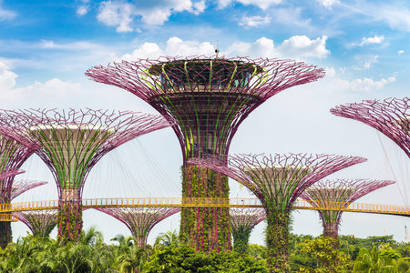 SINGAPORE - JUNE 23, 2018: Walkway at The Supertree Grove at Gardens by the Bay in Singapore near...