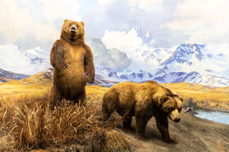 NEW YORK CITY, USA - MARCH 29, 2020: Interior of American Museum of Natural History in New York City, NY, USAのeditorial素材