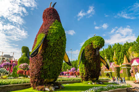 DUBAI, UNITED ARAB EMIRATES - MARCH 29, 2020: Dubai miracle garden in a sunny day , United Arab Emiratesのeditorial素材