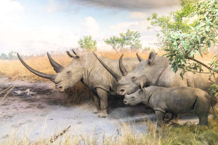 NEW YORK CITY, USA - MARCH 29, 2020: Interior of American Museum of Natural History in New York City, NY, USAのeditorial素材