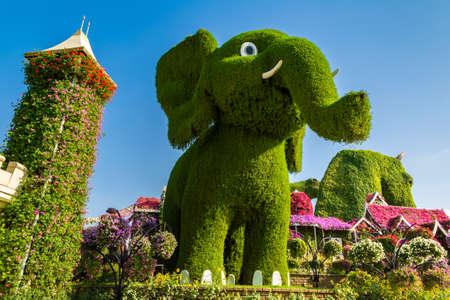 DUBAI, UNITED ARAB EMIRATES - MARCH 29, 2020: Dubai miracle garden in a sunny day , United Arab Emiratesのeditorial素材