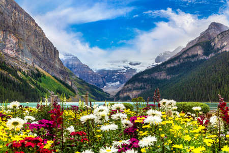 Panoramic view of Lake Louise and flowers, Banff National Park Of Canadaの写真素材