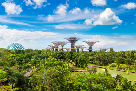 SINGAPORE - JUNE 23, 2018: The Supertree Grove at Gardens by the Bay in Singapore near Marina Bay...