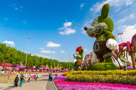 DUBAI, UNITED ARAB EMIRATES - MARCH 29, 2020: Dubai miracle garden in a sunny day , United Arab Emiratesのeditorial素材