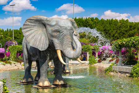 DUBAI, UNITED ARAB EMIRATES - MARCH 29, 2020: Dubai miracle garden in a sunny day , United Arab Emiratesのeditorial素材