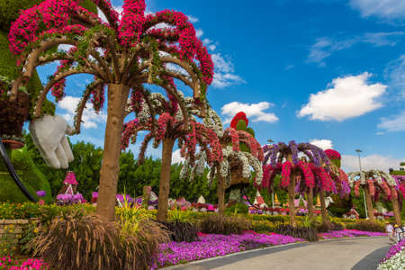 DUBAI, UNITED ARAB EMIRATES - MARCH 29, 2020: Dubai miracle garden in a sunny day , United Arab Emiratesのeditorial素材