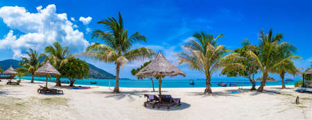 Panorama of Parasol, sunbed and palm tree on a tropical beach in a sunny dayの写真素材