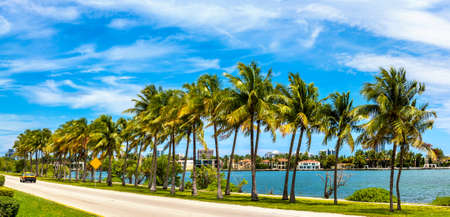 Panorama of  Palm trees and road in Miami Beach, Floridaの写真素材