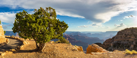Panorama of  Grand Canyon National Park at Powell Point at sunset, Arizona, USAの写真素材