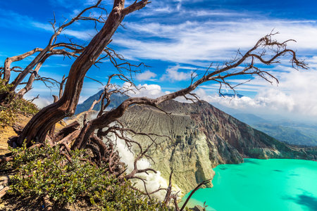 Panoramic aerial view crater of active volcano Ijen and dead tree, Java island, Indonesiaの写真素材