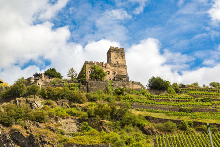 Castle Gutenfels in Romantic Rhine valley is a winemaking area in a beautiful summer day, Germanyのeditorial素材