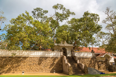 Jaya Sri Maha Bodhi temple in Anuradhapura Archaeological Museum in Sri Lankaのeditorial素材