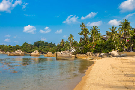 Beautiful rocky tropical beach in a summer day