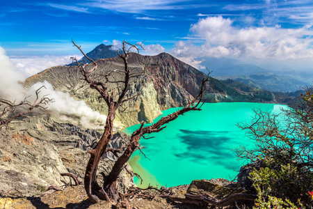 Panoramic aerial view crater of active volcano Ijen and dead tree, Java island, Indonesiaの写真素材
