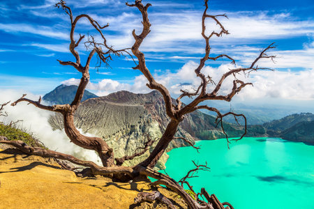 Panoramic aerial view crater of active volcano Ijen and dead tree, Java island, Indonesiaの写真素材
