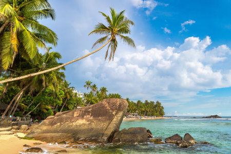 Rock and palm tree at Dalawella Beach in a sunny day in Sri Lankaの写真素材