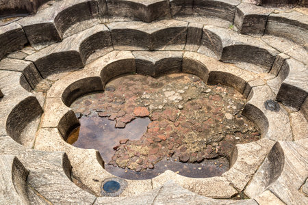 Nelum pokuna (Lotus Pond) in Polonnaruwa Archaeological Museum, Sri Lankaのeditorial素材
