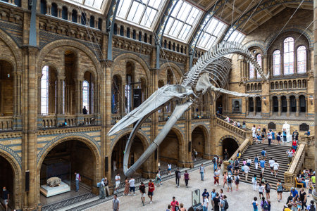 LONDON, UK - JUNE 18, 2022: Interior of Natural History Museum of London and blue whale skeleton in the main hall in London, UKのeditorial素材