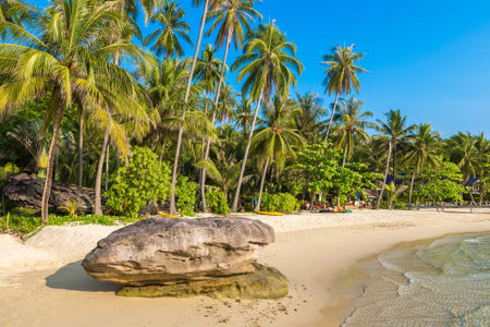 Beautful tropical beach in a sunny day