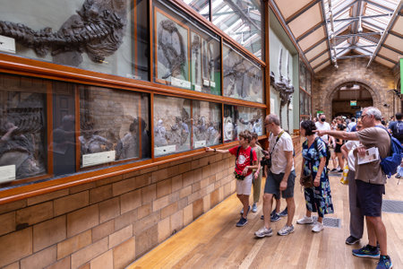 LONDON, UK - JUNE 18, 2022: Interior of Natural History Museum in London, UKのeditorial素材