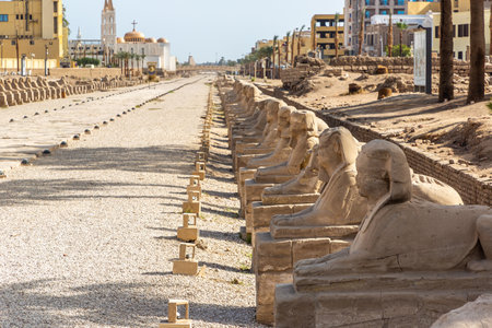 Sphinx Allee (Avenue of the Sphinxes) in a sunny day, Luxor, Egyptの写真素材