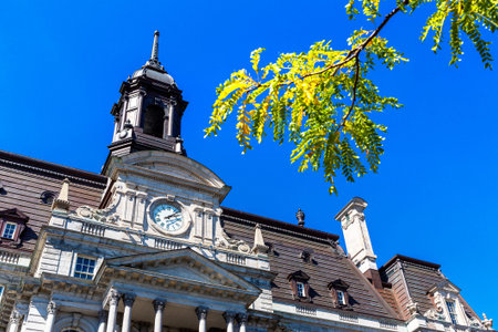 Montreal City Hall in Montreal in a sunny day, Quebec, Canadaの写真素材