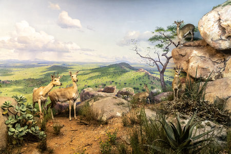 NEW YORK CITY, USA - MARCH 29, 2020: Interior of American Museum of Natural History in New York City, NY, USAのeditorial素材