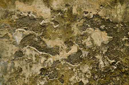 Old plasterの写真素材