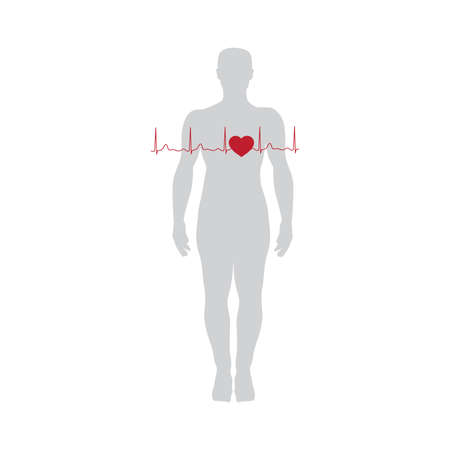 human silhouette with cardiogram and hearthのイラスト素材