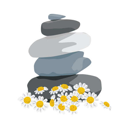daises flowers and zen stones, vector illustrationのイラスト素材