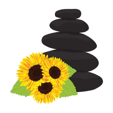 sunflowers in front of zen pebblesのイラスト素材