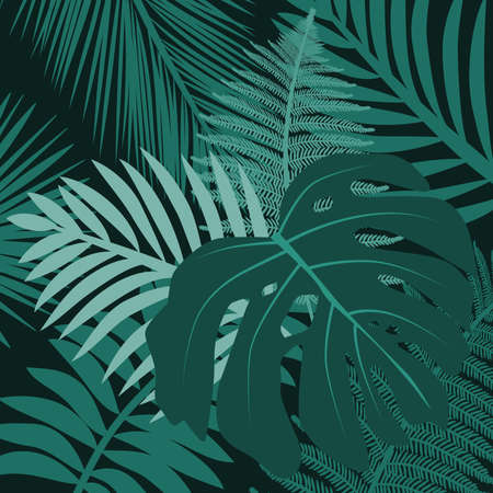 tropic leaves, vector backgroundのイラスト素材