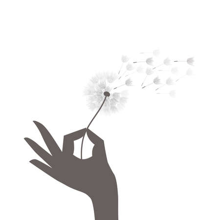 dandelion flower, vectorのイラスト素材