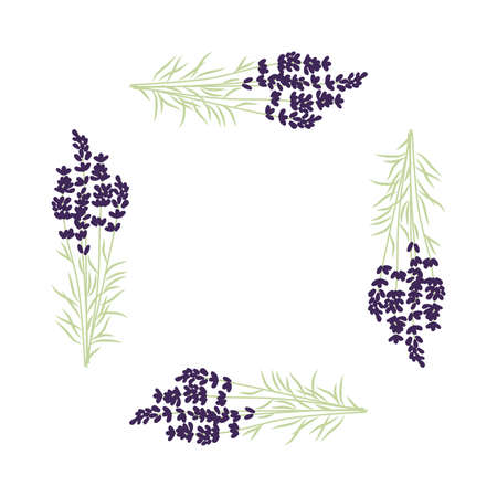 lavender flower frame, vectorのイラスト素材