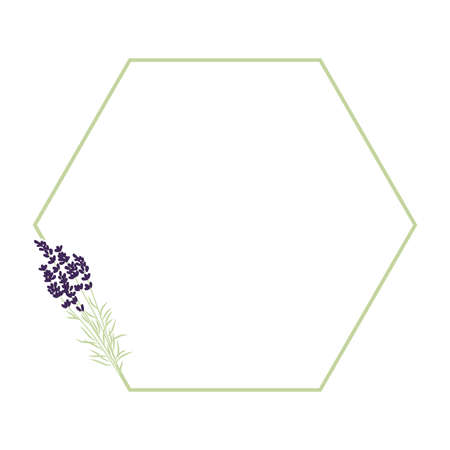 lavender flower frame, vectorのイラスト素材
