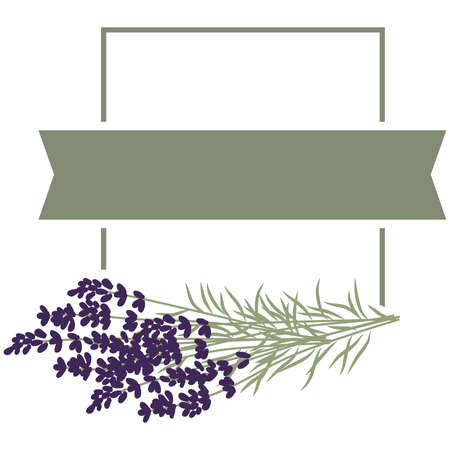 lavender vector frameのイラスト素材
