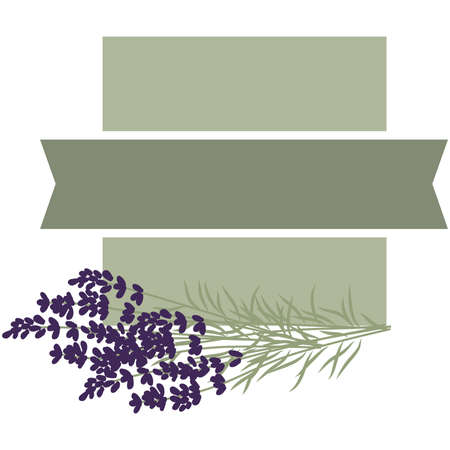 lavender vector frameのイラスト素材