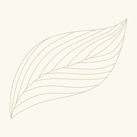 ornamental leavesのイラスト素材