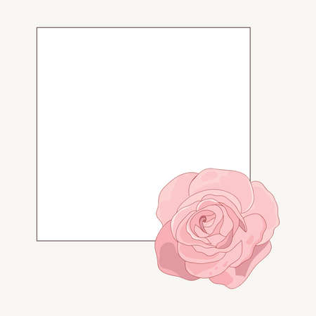 roses invitation backgroundのイラスト素材