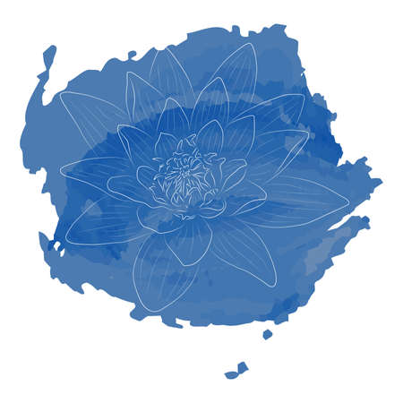 lotus flowerのイラスト素材