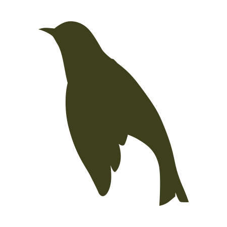 illustration of a birdのイラスト素材