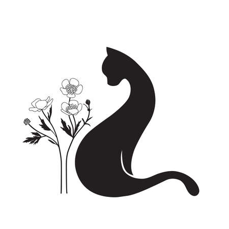 black catのイラスト素材