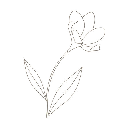 spring flower, vectorのイラスト素材