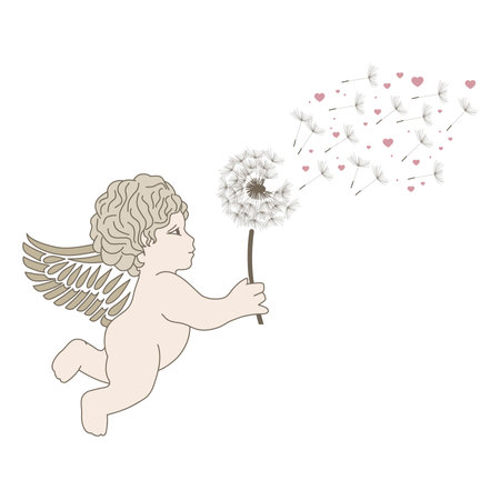 Cupid with dandelion, vector illustration on white background.のイラスト素材
