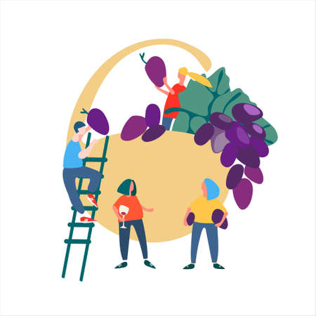 People picking grapes. Harvesting concept. Agritourism concept. Eco-friendly life concept. Illustration in flat styleのイラスト素材