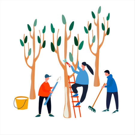 People doing spring works in garden, orchard. Tree pruning, trunk whitening, garden clearing with rake. Set of vector illustrations in flat styleのイラスト素材