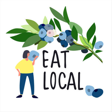 Eat Local concept. Harvesting concept. Pick-your-own concept. Woman picking blueberries  illustration in abstract flat styleのイラスト素材