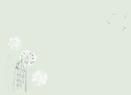 Pre made template with Dandelion flower. Summer concept.のイラスト素材